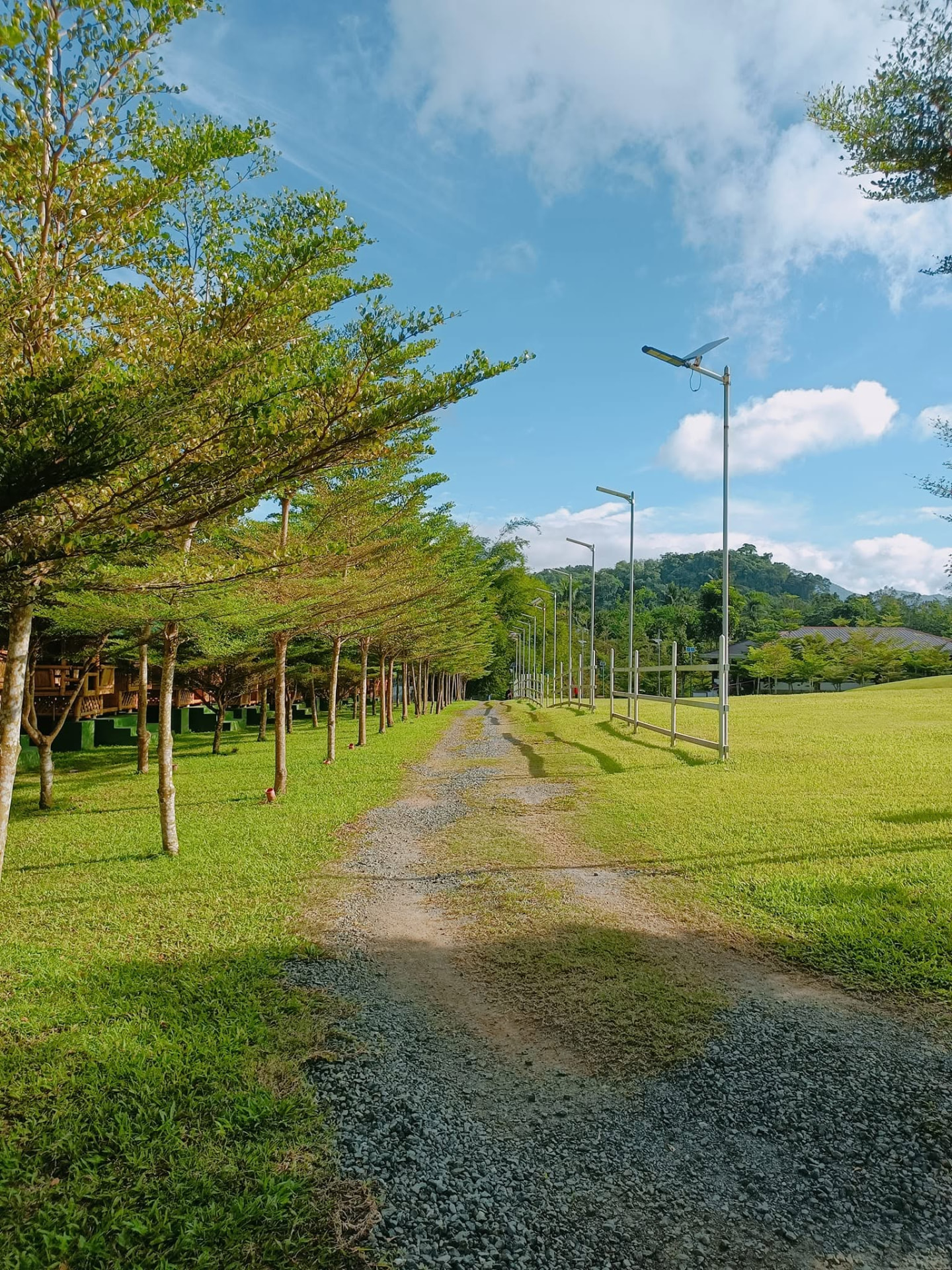 Gravel walking path lined with trees at the resort