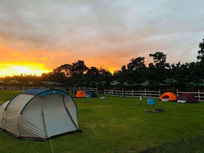 Sunset camping grounds with tents provided