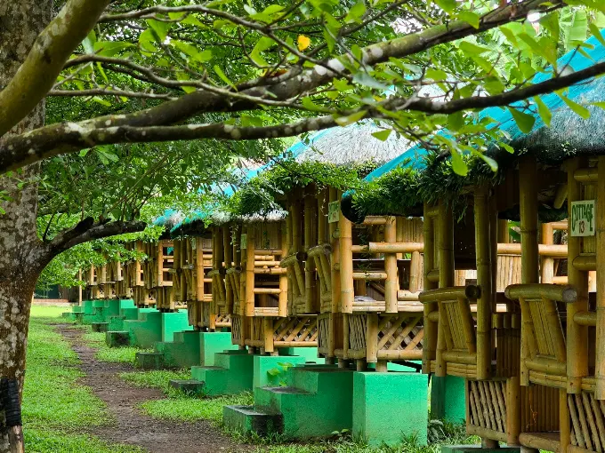 Native bamboo and overnight cottages